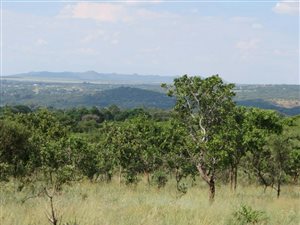 21 ha Farm in Andeon AH