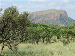 21 ha Farm in Andeon AH
