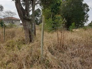 4046 m² Land available in Hilton