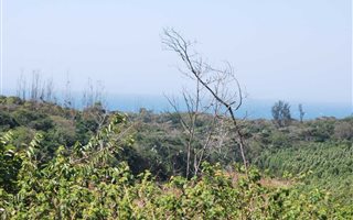1039 m² Land available in Blythedale Beach