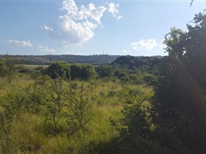 4 ha Land available in Tierpoort