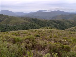 23 ha Farm in Klein Brak River