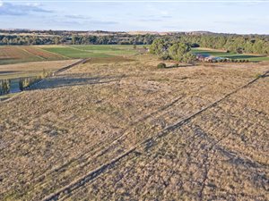 4 ha Land available in Bainsvlei