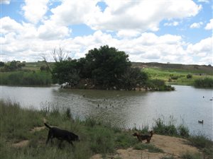8.5 ha Farm in Lanseria and surrounds