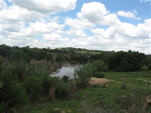 8.5 ha Farm in Lanseria and surrounds