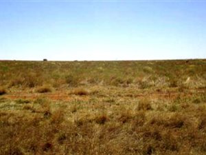 196 ha Farm in Hertzogville