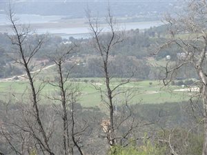 1600 m² Land available in Phantom River View