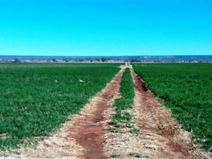 140 ha Farm in Hartswater