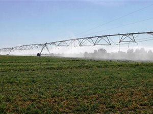 140 ha Farm in Hartswater