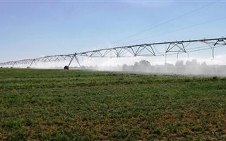140 ha Farm in Hartswater
