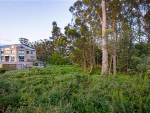 1289 m² Land available in Heatherlands