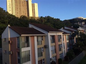 1 Bed Apartment in Morningside