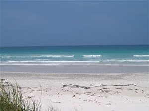 117 ha Farm in Pearly Beach