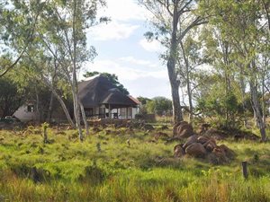 208351 ha Farm in Bela-Bela (Warmbaths)