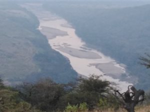 72 ha Land available in Mandini