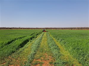 2752 ha Farm in Louis Trichardt
