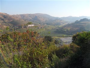 7.3 ha Farm in Cliffdale