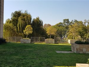 555.75 m² Office Space in Illovo