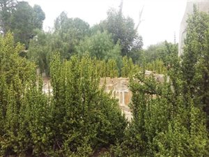 2894 m² Land available in Hopefield