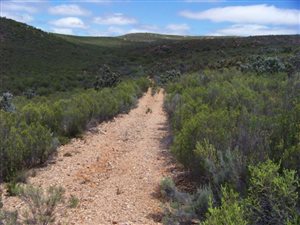 4200 ha Farm in Uniondale