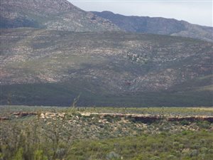 4200 ha Farm in Uniondale