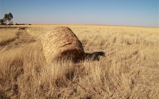 411 ha Farm in Bultfontein