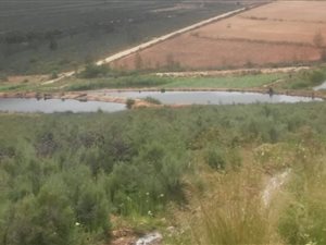 11 ha Farm in Uniondale