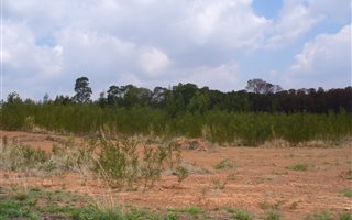 5004 m² Land available in Rietfontein