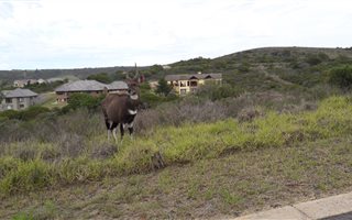 1642 m² Land available in Aalwyndal
