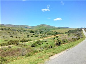 70.7 ha Land available in Port Elizabeth Central