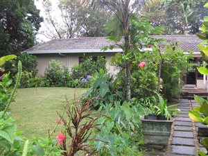 1 ha Farm with House in Uvongo