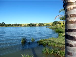 361 ha Farm in Ballito