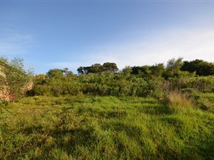 1213 m² Land available in Robberg Ridge
