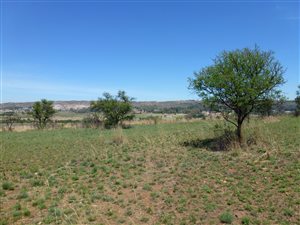 5000 m² Land available in Tygerberg Country Estate