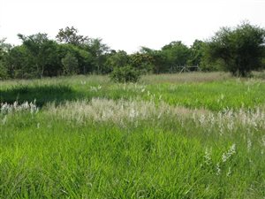 20 ha Farm in Naboomspruit