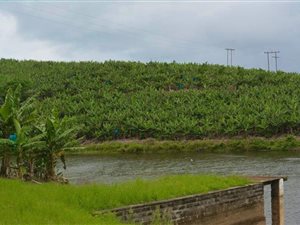 29 ha Farm with House in Munster