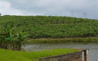29 ha Farm with House in Munster
