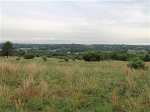 12 ha Land available in Nooitgedacht