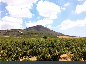 2 Bed Townhouse in Stellenbosch Agricultural