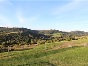 10 ha Farm in Port Elizabeth Central