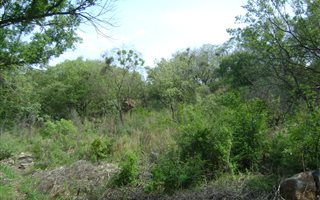 1.5 ha Land available in Brits