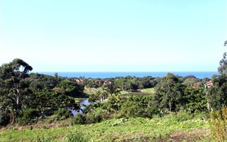 3.7 ha Farm with House in Marina Beach