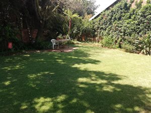 3 Bed Apartment in Northmead