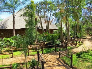 1 ha Farm in Buffelsdrift