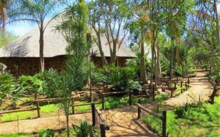 1 ha Farm in Buffelsdrift