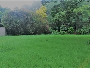1800 m² Land available in Everton