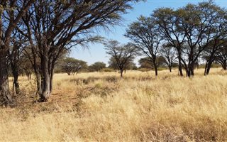 3839 ha Farm in Vryburg