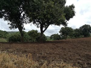 3 ha Farm in Craigieburn