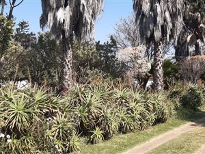 8.6 ha Farm in Tweefontein