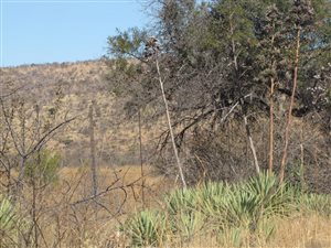 1 ha Land available in Bela-Bela (Warmbaths)